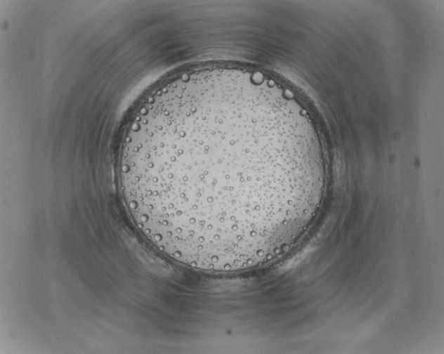 X0000074310925200609152003