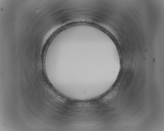 X0000074310927200609152003