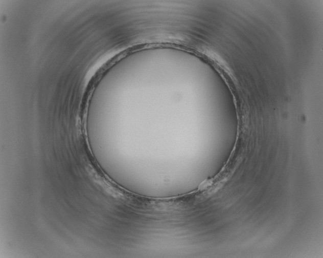 X0000074310928200609152003