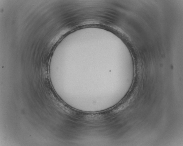 X0000074310929200609152003