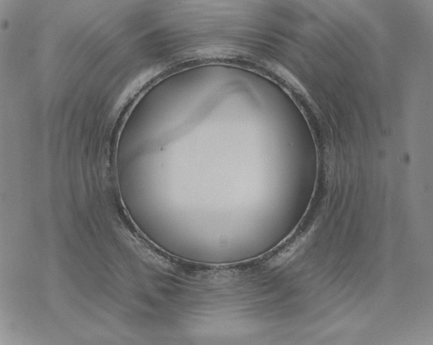 X0000074310930200609152003