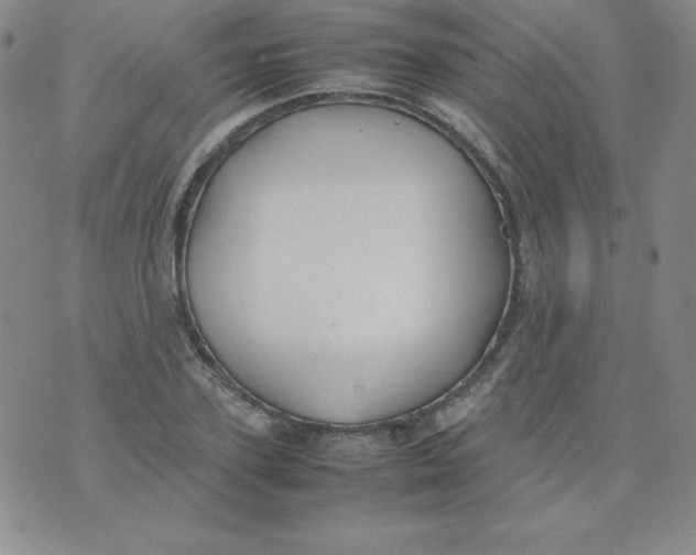 X0000074310931200609152003