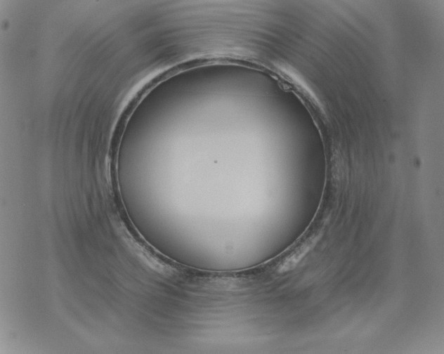 X0000074310932200609152003