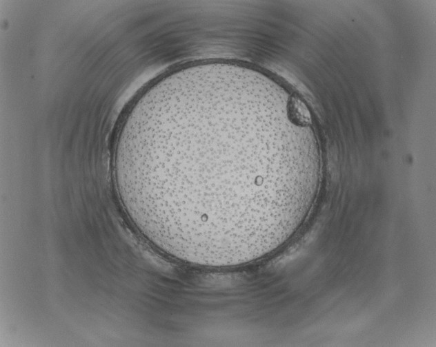 X0000074310933200609152003