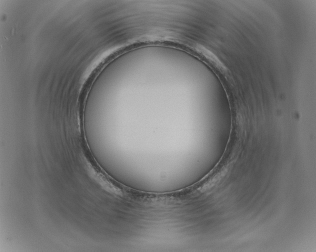 X0000074310934200609152003