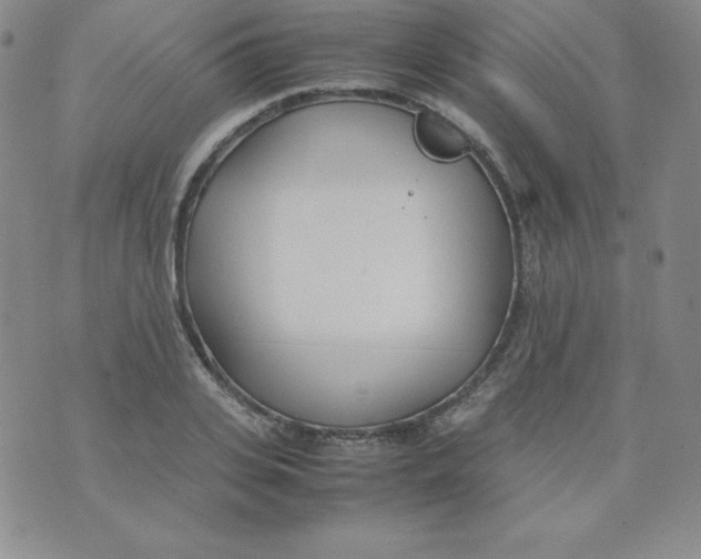 X0000074310935200609152003