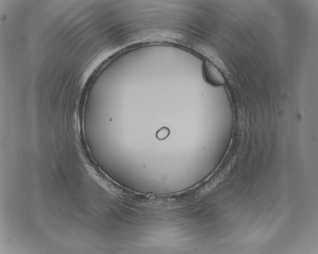 X0000074310936200609152003