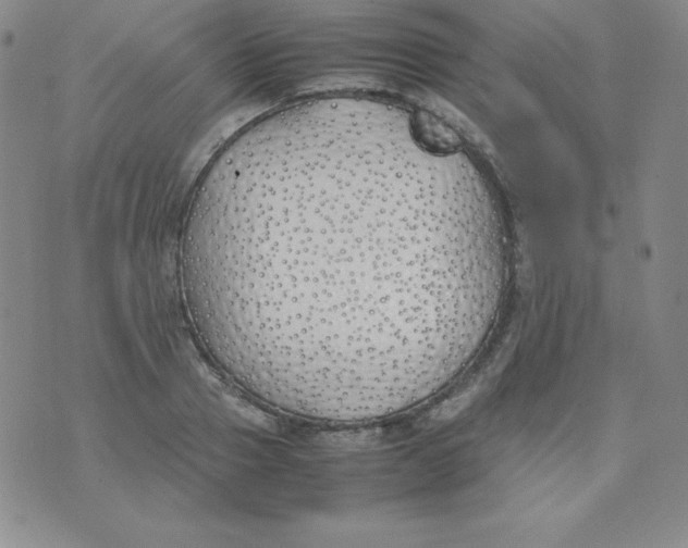 X0000074310937200609152003