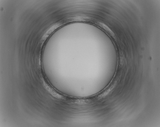 X0000074310938200609152003