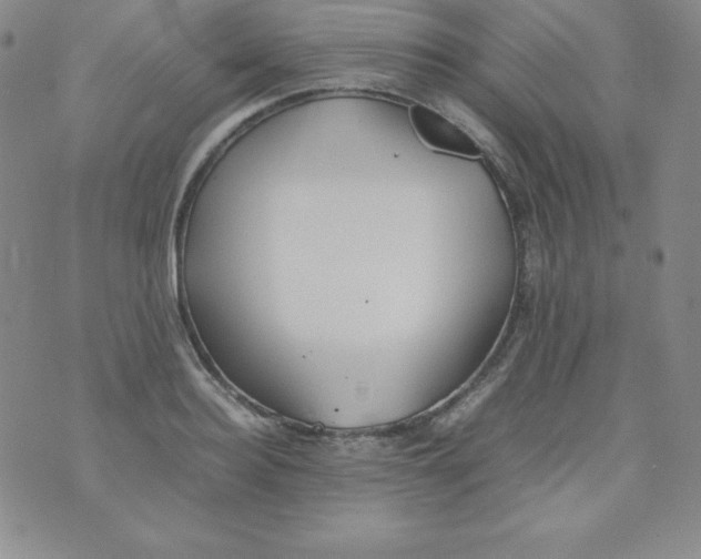 X0000074310940200609152003