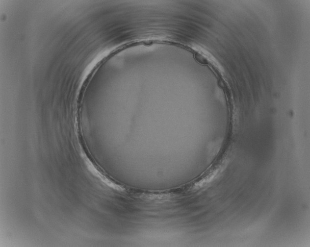 X0000074310941200609152003