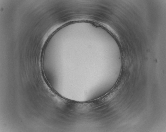 X0000074310943200609152003