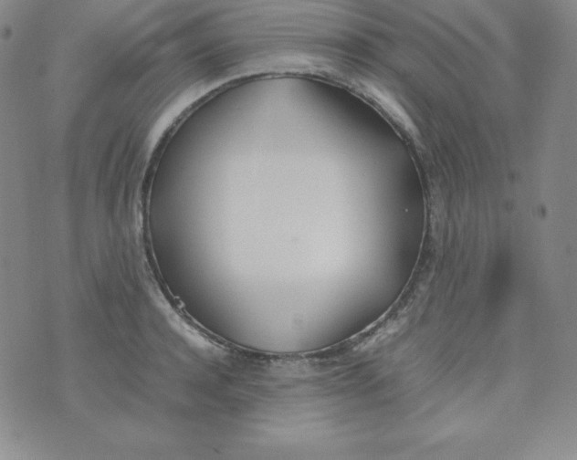 X0000074310944200609152003