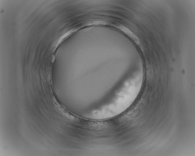 X0000074310945200609152003