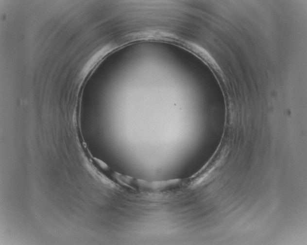 X0000074310946200609152003