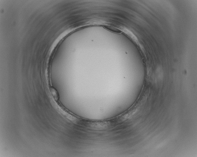 X0000074310947200609152003