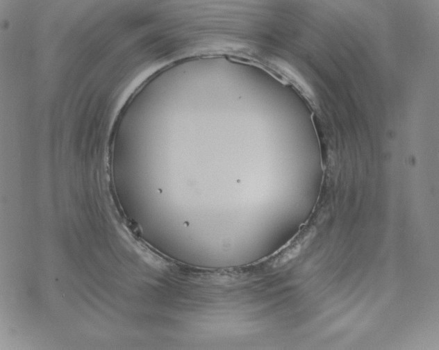 X0000074310948200609152003