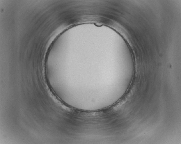 X0000074310949200609152003