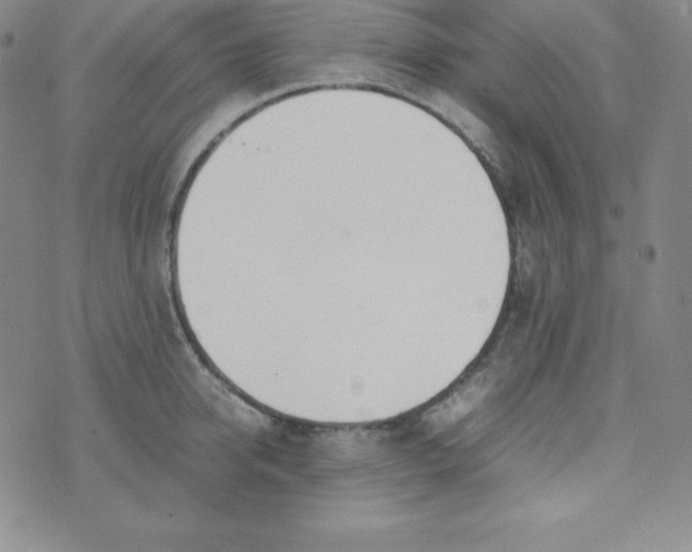 X0000074310950200609152003