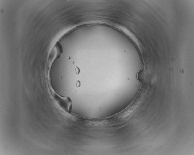 X0000074310951200609152003