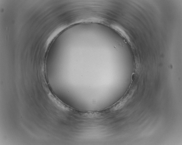 X0000074310952200609152003