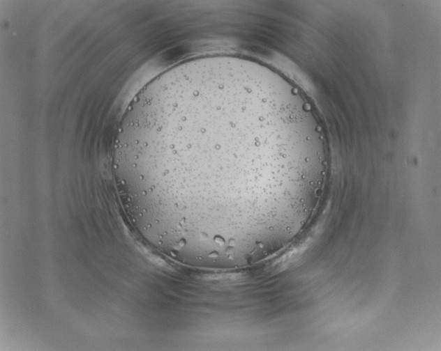 X0000074310953200609152003