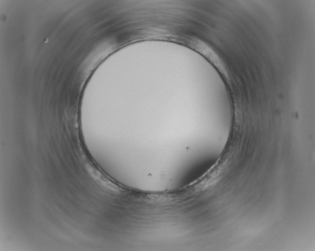 X0000074310954200609152003