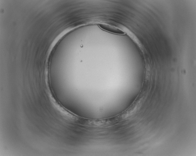 X0000074310955200609152003