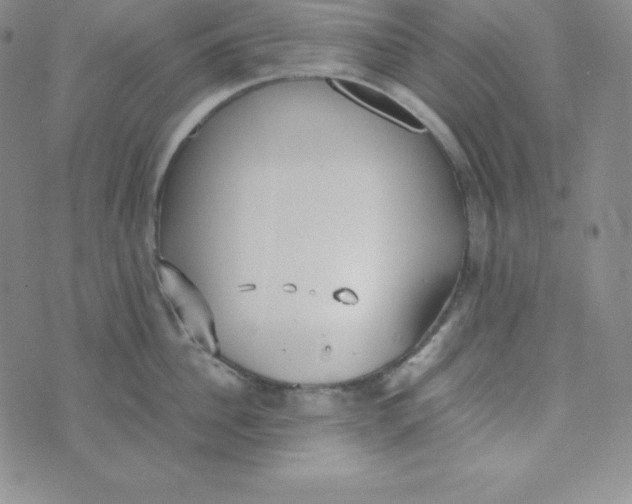 X0000074310956200609152003