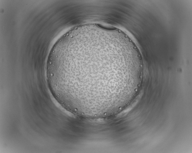 X0000074310957200609152003