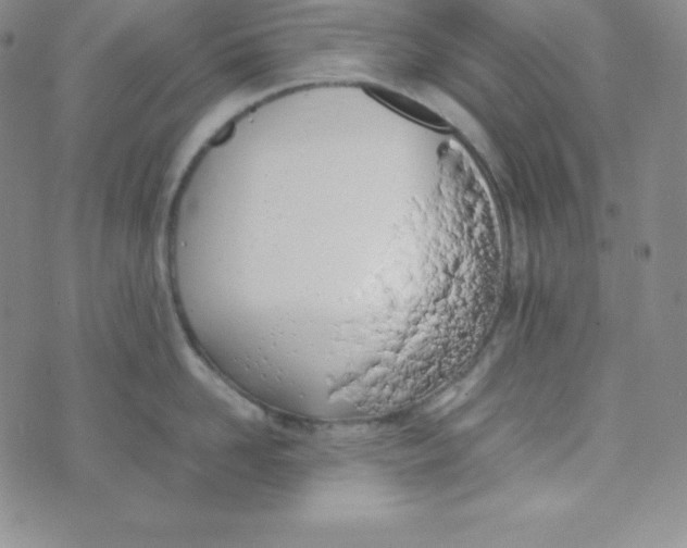 X0000074310958200609152003