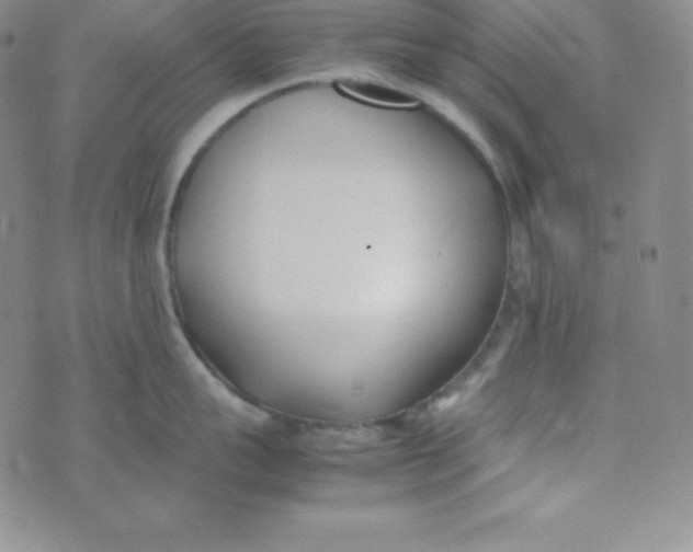 X0000074310959200609152003