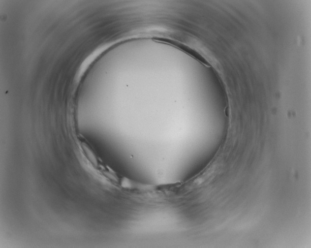 X0000074310960200609152003