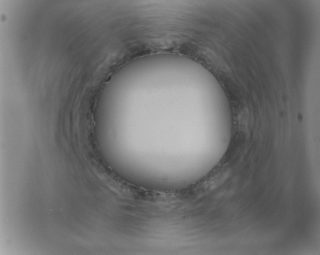 X0000074310961200609152003