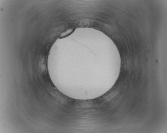 X0000074310962200609152003