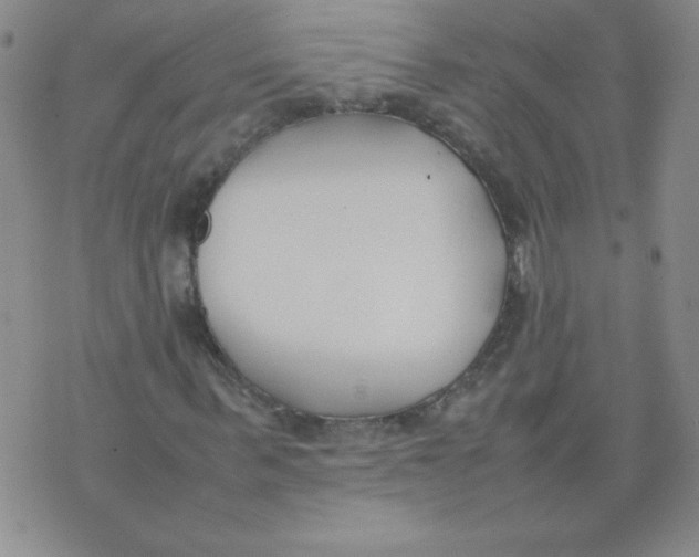 X0000074310963200609152003