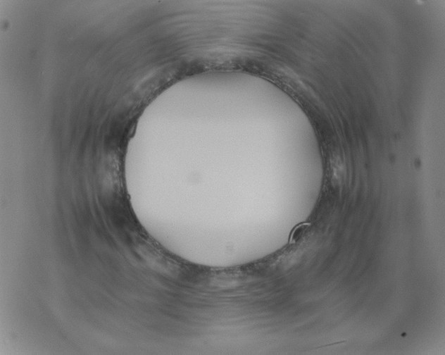 X0000074310964200609152003