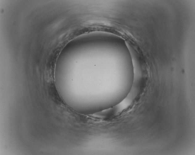 X0000074310965200609152003