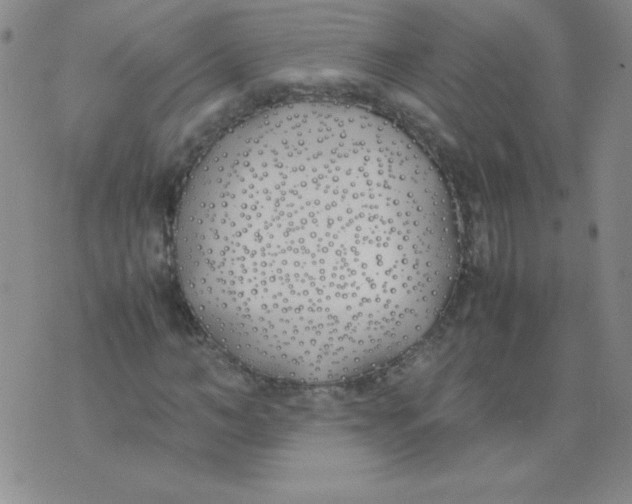 X0000074310966200609152003