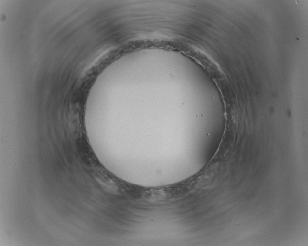 X0000074310968200609152002