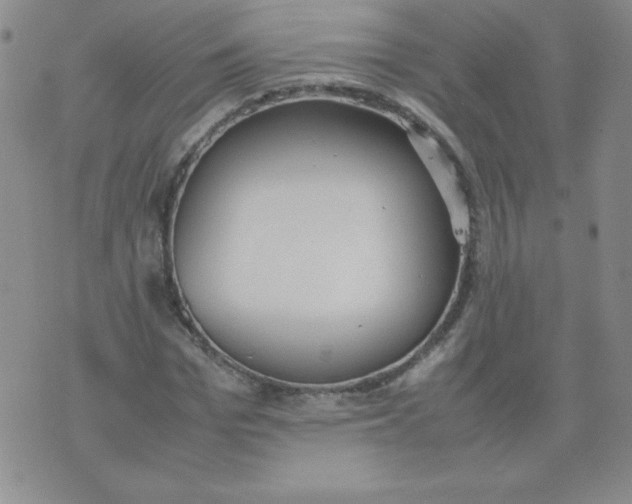 X0000074310969200609152002