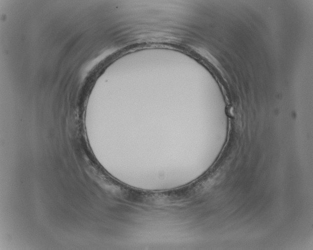 X0000074310971200609152002