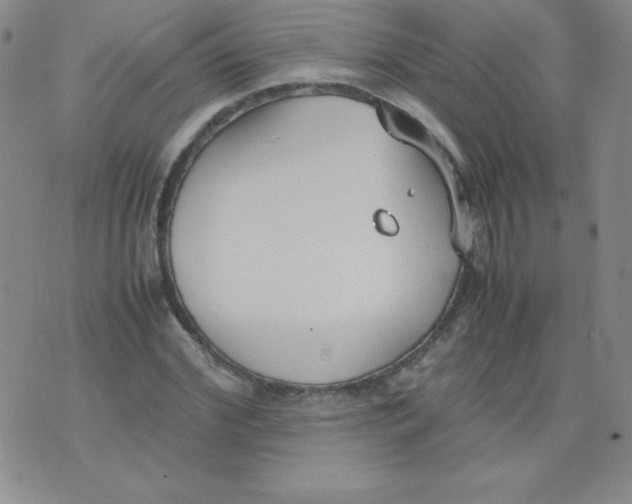 X0000074310972200609152002