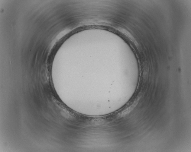 X0000074310974200609152002