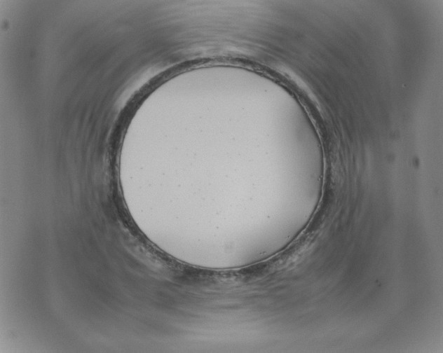 X0000074310975200609152002