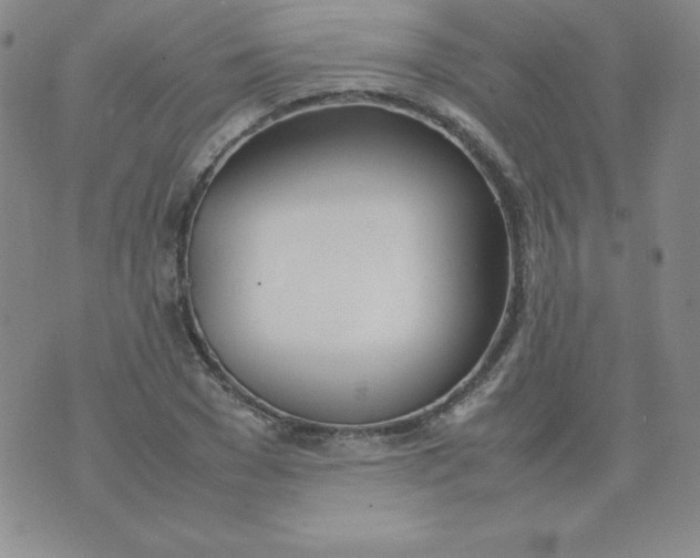 X0000074310977200609152002