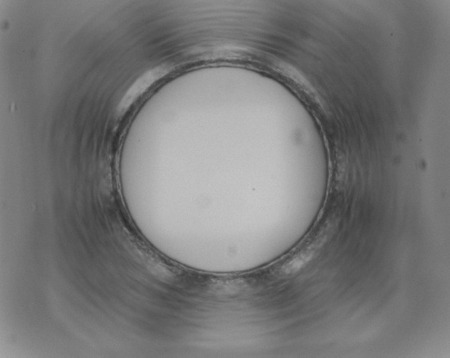 X0000074310978200609152002