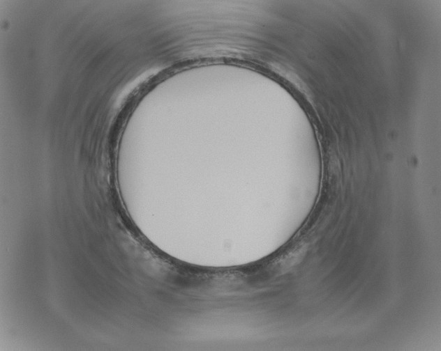 X0000074310979200609152002