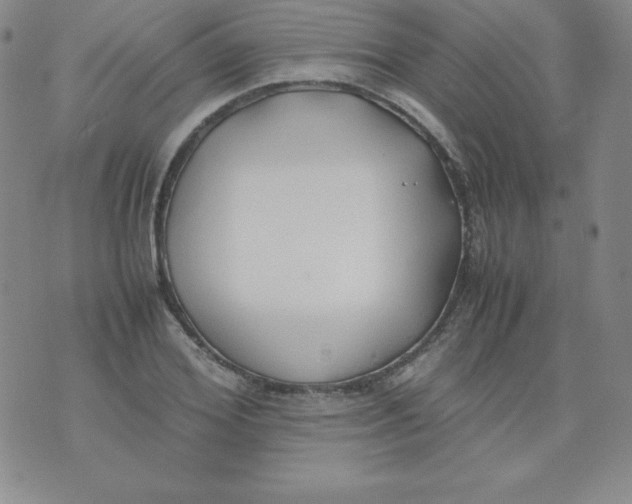 X0000074310980200609152002