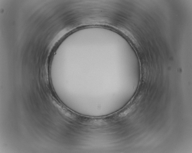 X0000074310982200609152002